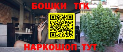 гидропоника Можга