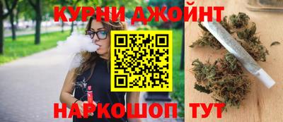 гидропоника Можга
